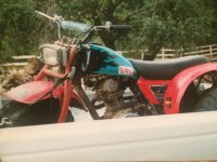 IMG_2272.jpeg