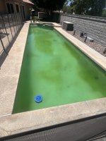 IMG_7840.jpeg