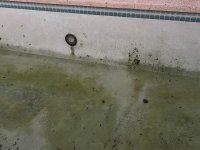 IMG_7855.jpeg