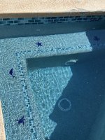 IMG_7908.jpeg