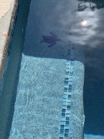IMG_7909.jpeg
