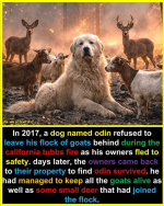 1784547855773.png