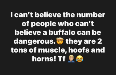 1784551691432.png