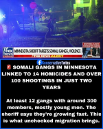 1784554723434.png